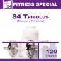Preview: S4 Tribulus Terrestris