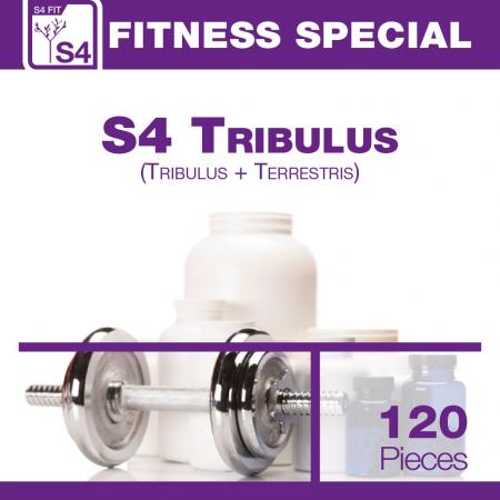 S4 Tribulus Terrestris