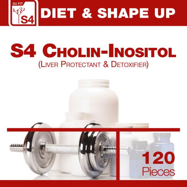 S4 Cholin-Inositol 120 Kapseln