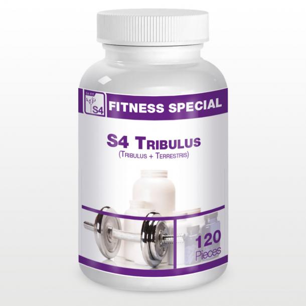 S4 Tribulus Terrestris
